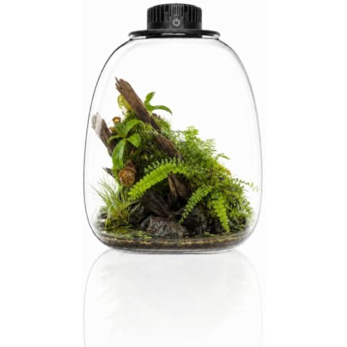 Grow Light Led - Round Bio Bottle Terrarium with Adjustable