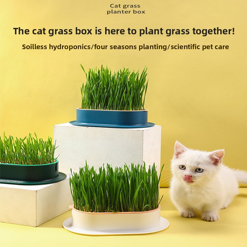 Hydroponic Grow Pod - Pet Supplies Cat Snacks Cat Planting