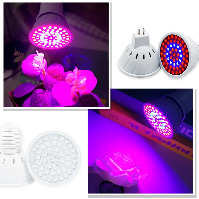 Phyto Lamp Full Spectrum LED G - đánh giá và giá Plant Grow Light Full Spectrum