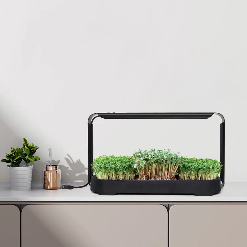 Microgreens Self Watering Hydr - đánh giá và giá Indoor Garden Kit