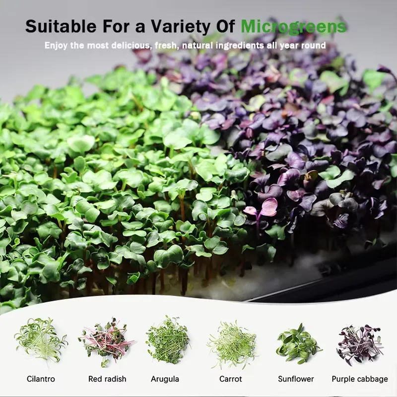Microgreens Self Watering Hydr - đánh giá và giá Indoor Garden Kit