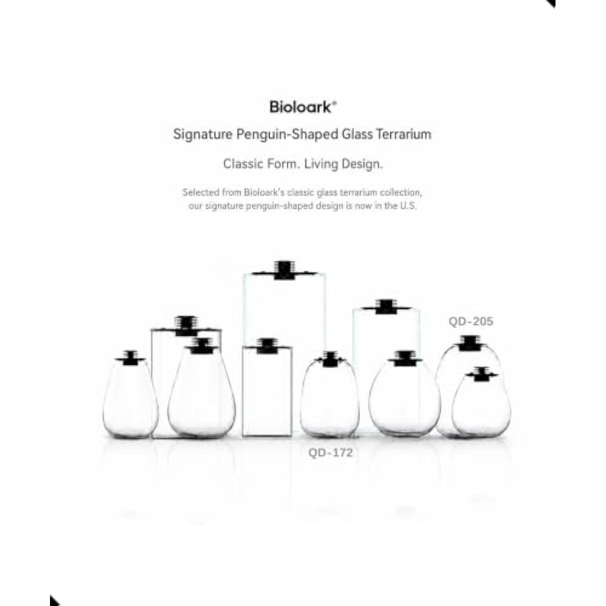 Round Bio Bottle Terrarium wit - đánh giá và giá Grow Light Led