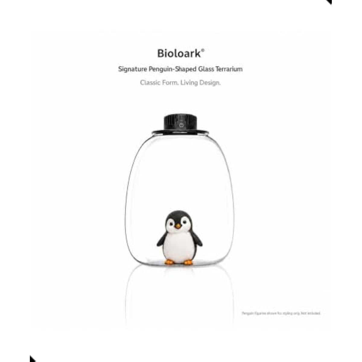 Round Bio Bottle Terrarium wit - đánh giá và giá Grow Light Led