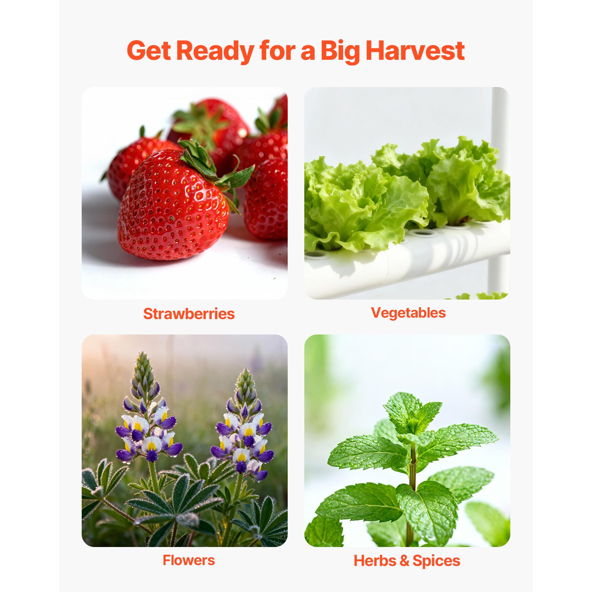 3 Tier 90 Sites Hydroponic Gro - đánh giá và giá Indoor Garden Kit