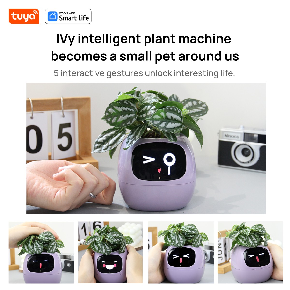 pink Tuya Ivy Smart Planter,En - đánh giá và giá Smart Pot