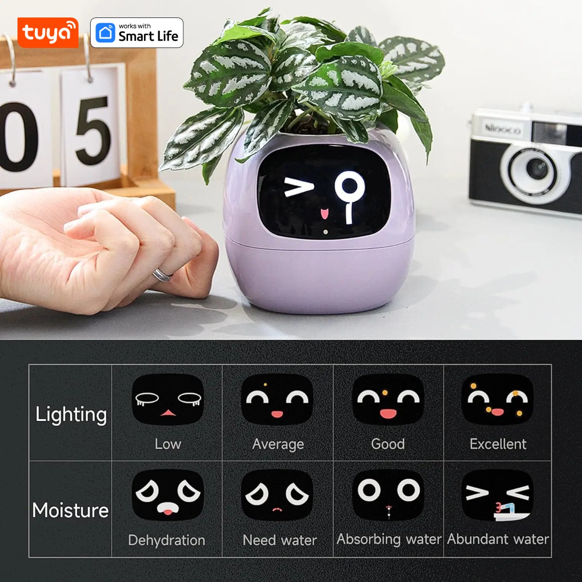pink Tuya Ivy Smart Planter,En - đánh giá và giá Smart Pot