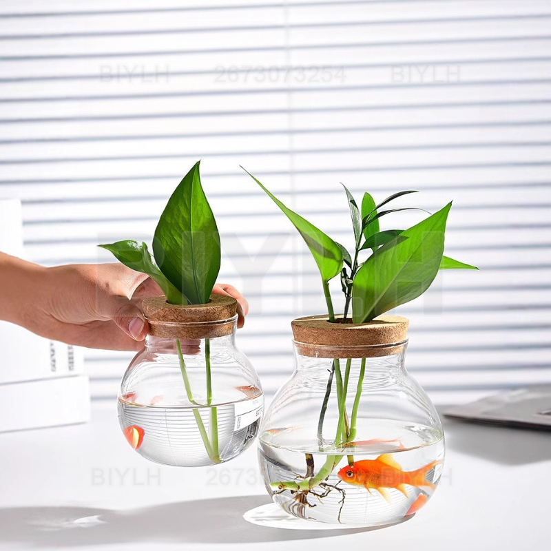 Hydroponic Plant Glass Vase Wi - đánh giá và giá Hydroponic Grow Pod