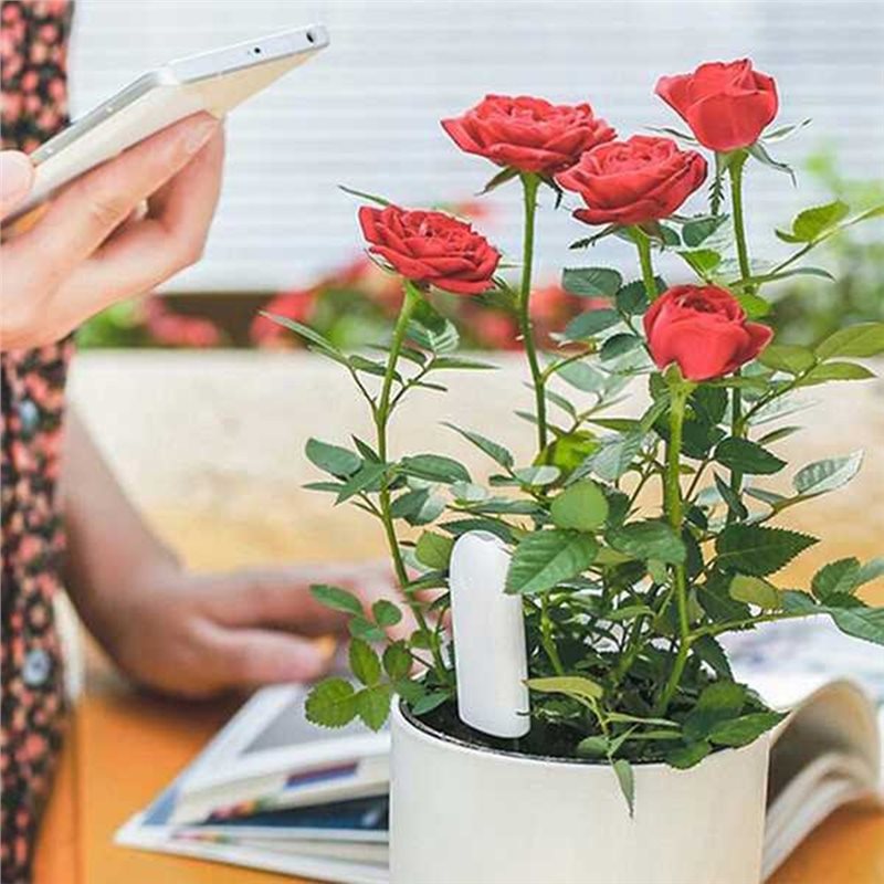 ABVG-Flora Smart Flower Monito - đánh giá và giá Plant Sensor