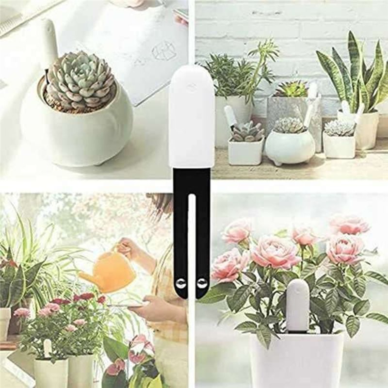 ABVG-Flora Smart Flower Monito - đánh giá và giá Plant Sensor