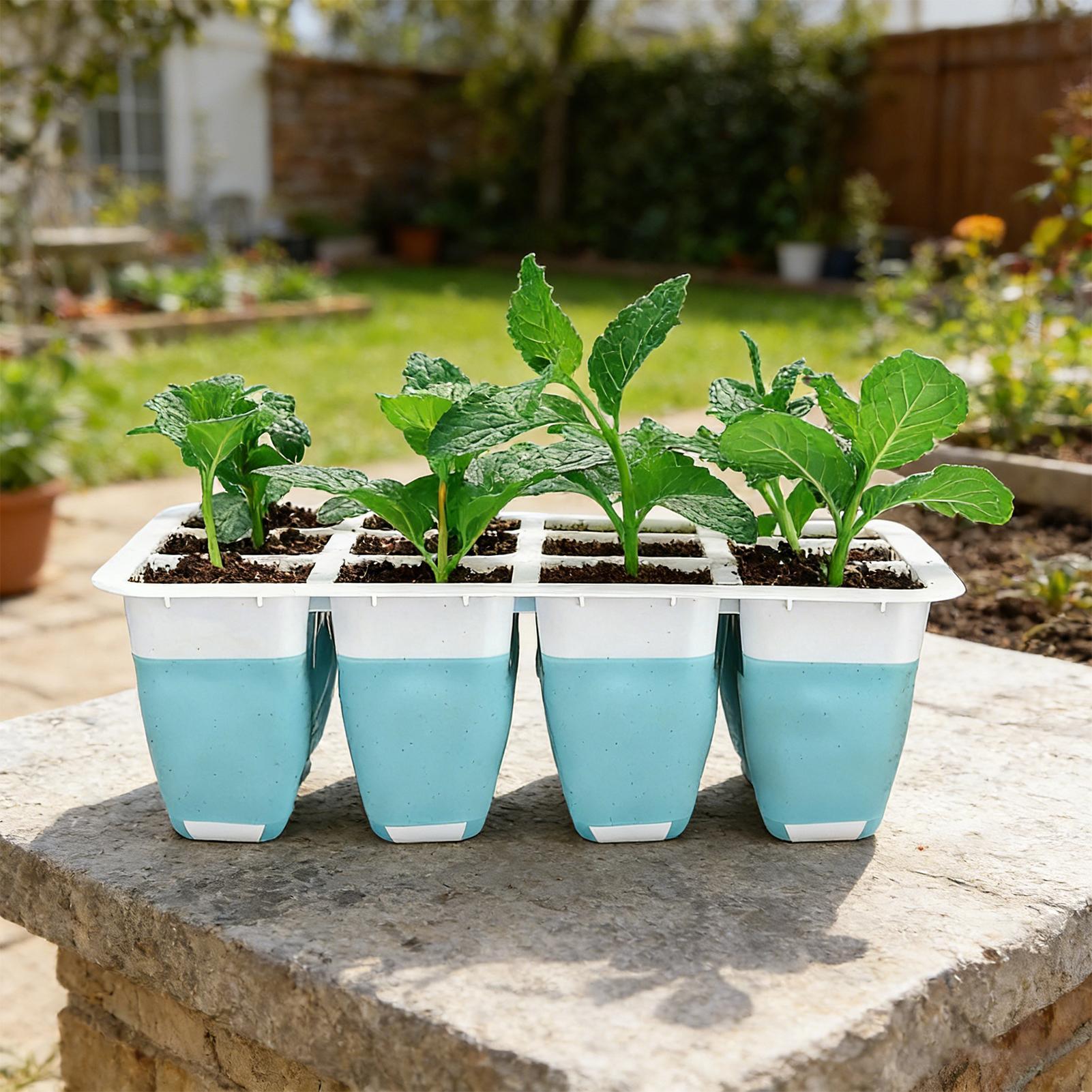 5 Pack Silicone Seed Starter T - đánh giá và giá Indoor Garden Kit