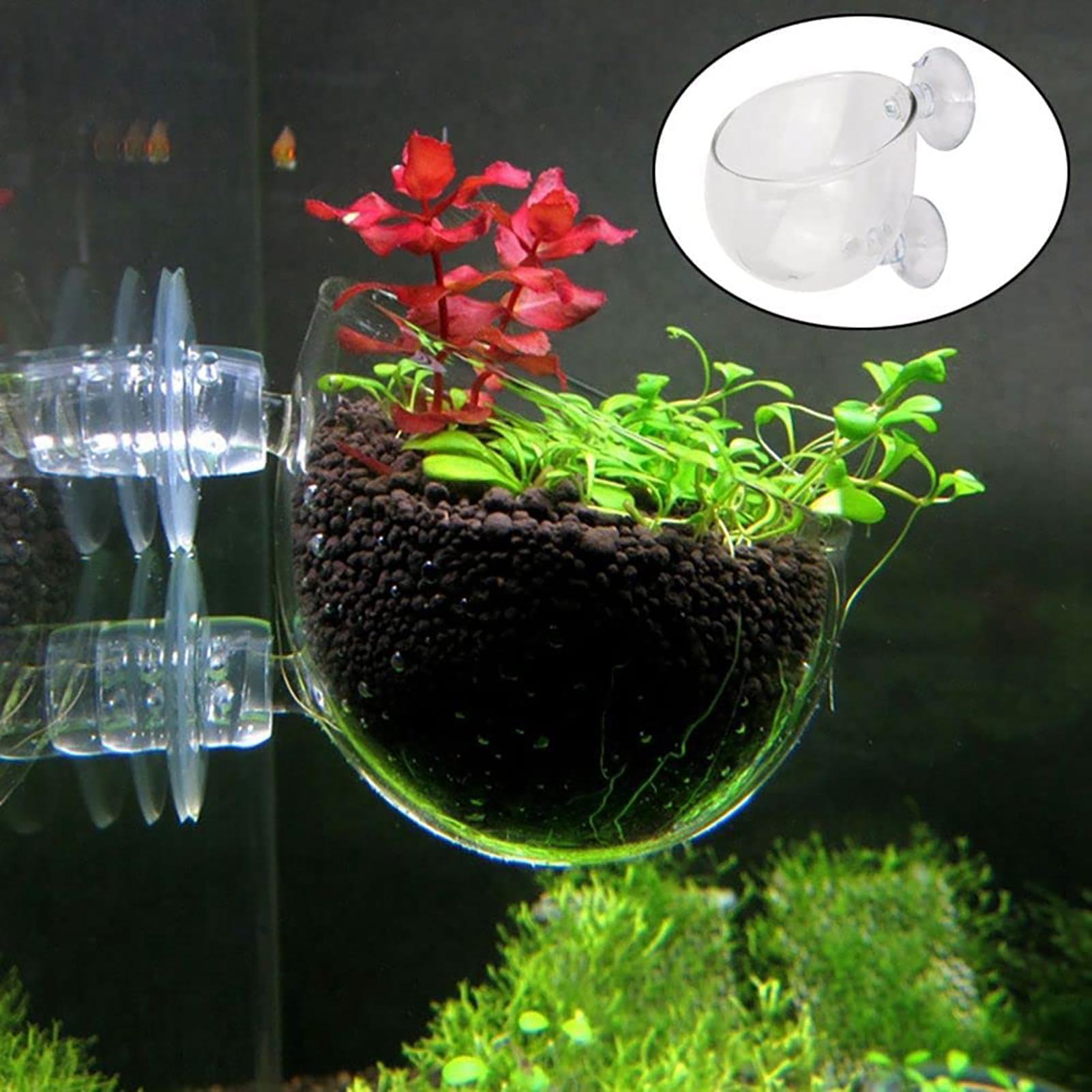 Aquatic Plant Pot Clear Acryli - đánh giá và giá Hydroponic Grow Pod