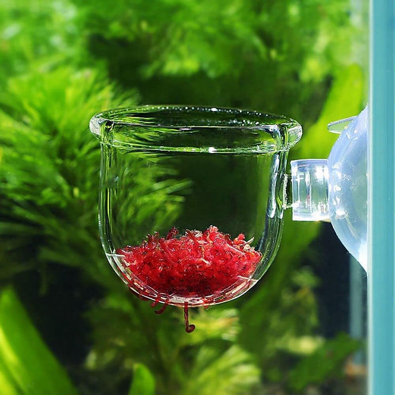 Aquatic Plant Pot Clear Acryli - đánh giá và giá Hydroponic Grow Pod