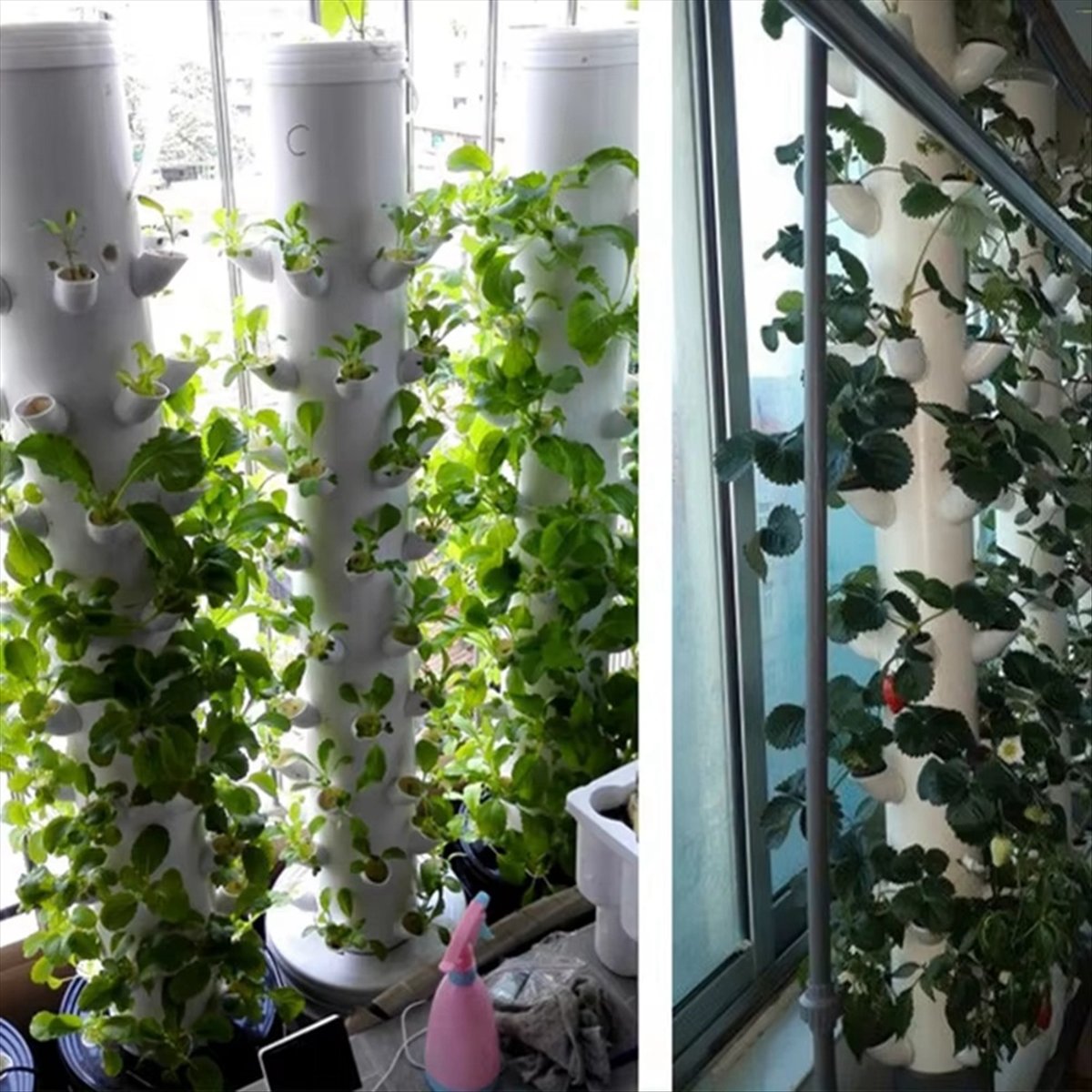 Hydroponic Vertical Tower Cont - đánh giá và giá Hydroponic Tower