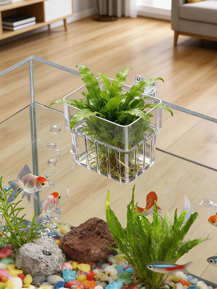 Aquarium Plant Holder Transpar - đánh giá và giá Hydroponic Grow Pod