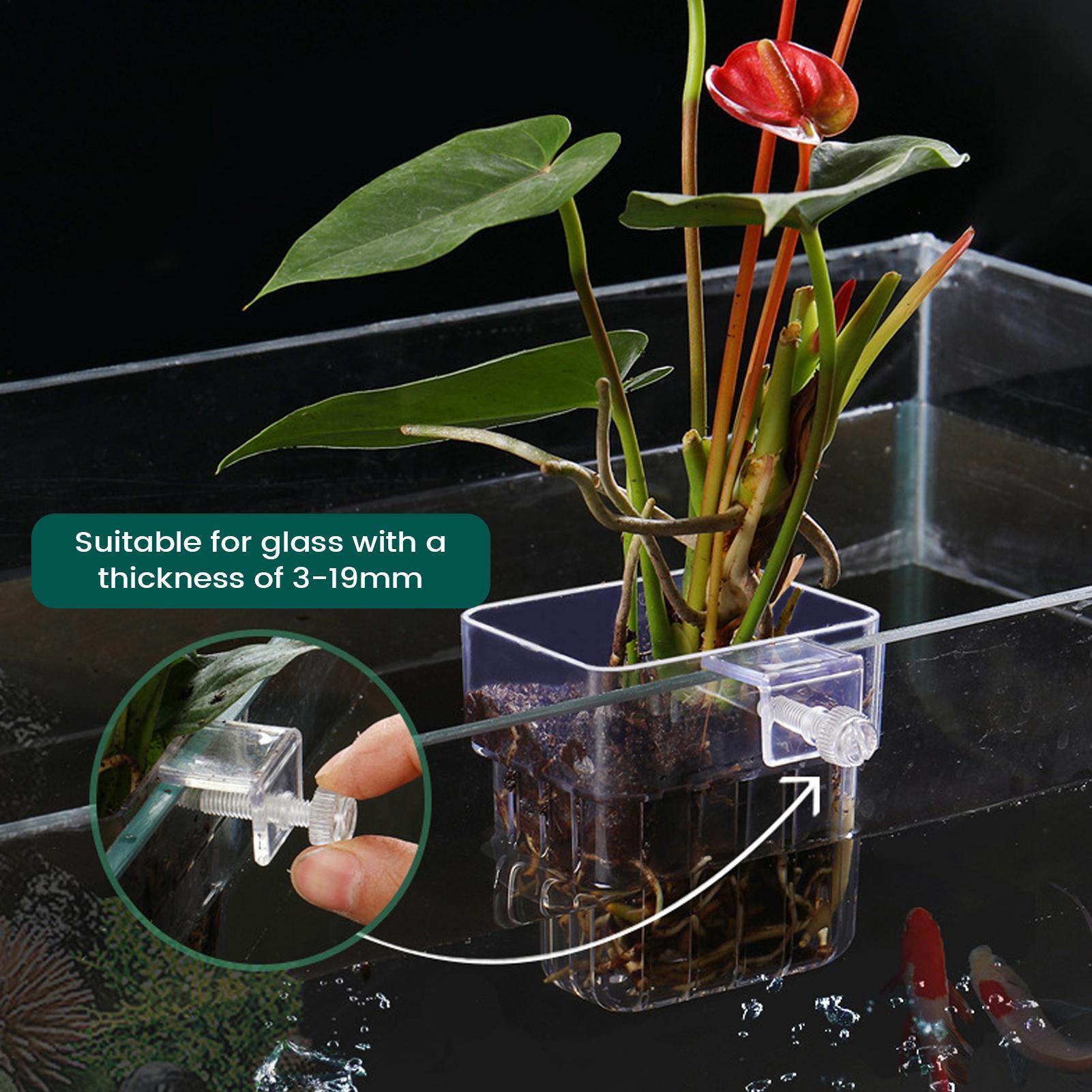 Aquarium Plant Holder Transpar - đánh giá và giá Hydroponic Grow Pod